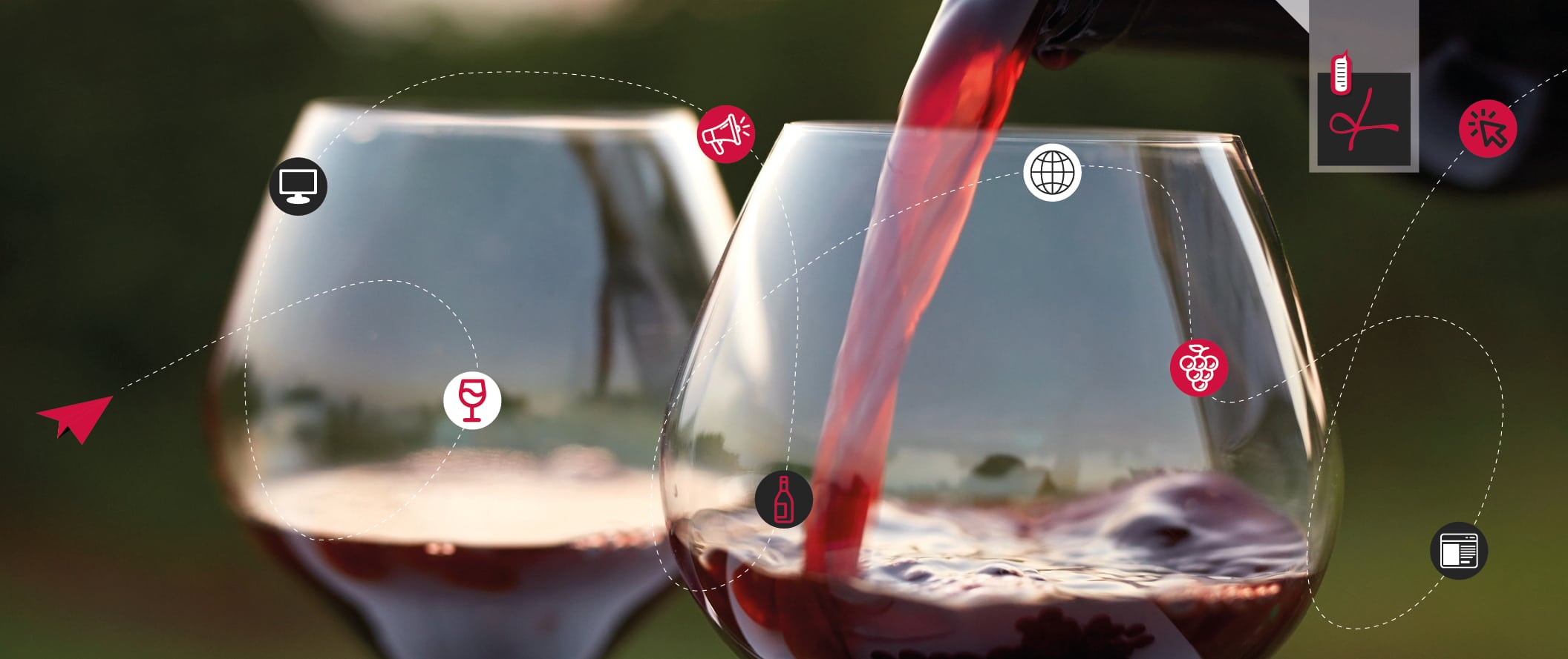 Trend digitali: il futuro del vino è roseo